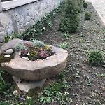 чорногірський вітер