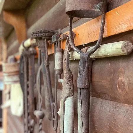 Lodge чорногірський вітер *