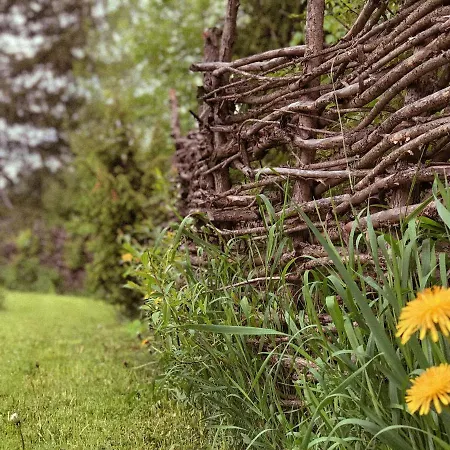 чорногірський вітер Lodge *