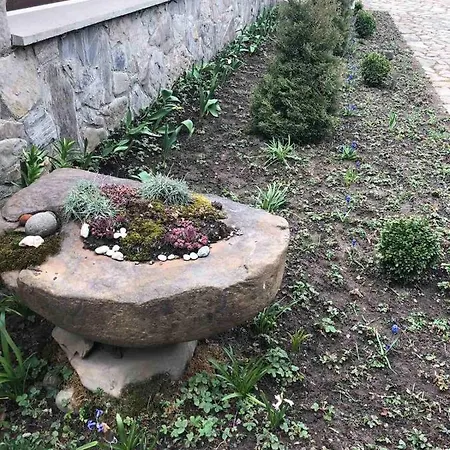 чорногірський вітер